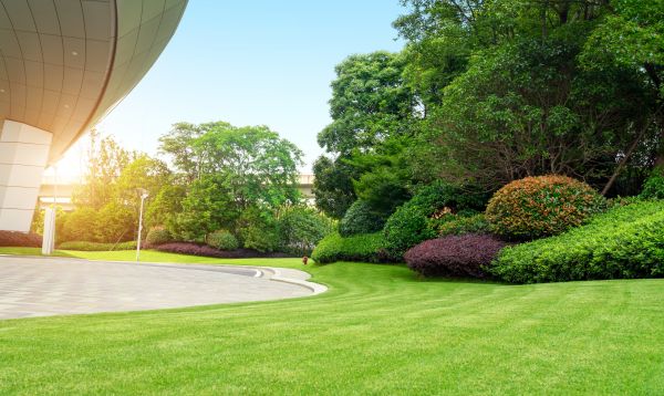 Cost of Commercial Shrub Trimming in Yorba Linda