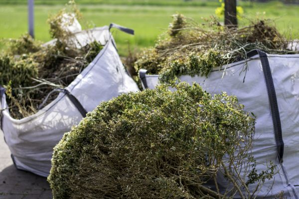 Cost of Shrubs Removal in Yorba Linda