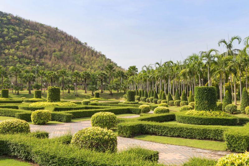 Landscaped Yard with Trimmed Shrubs