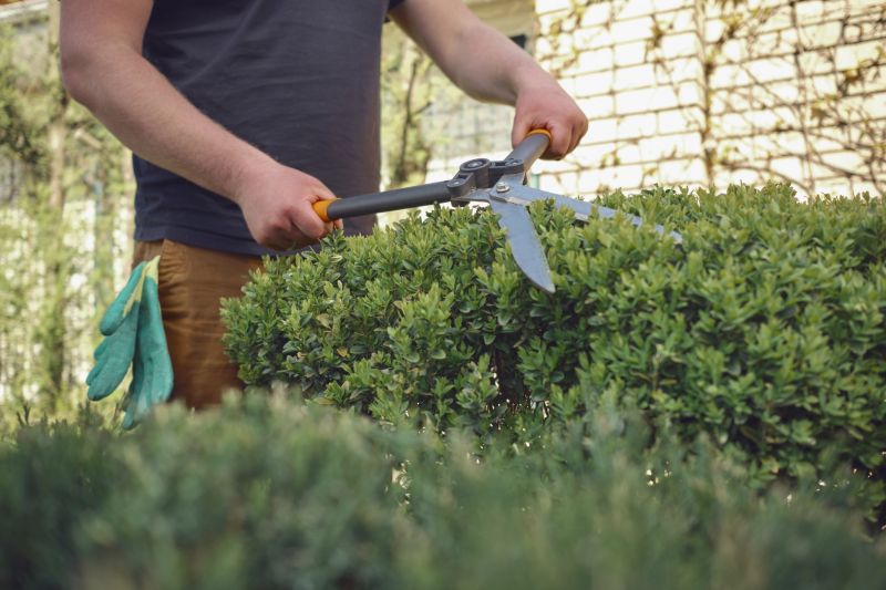 Pruning Techniques