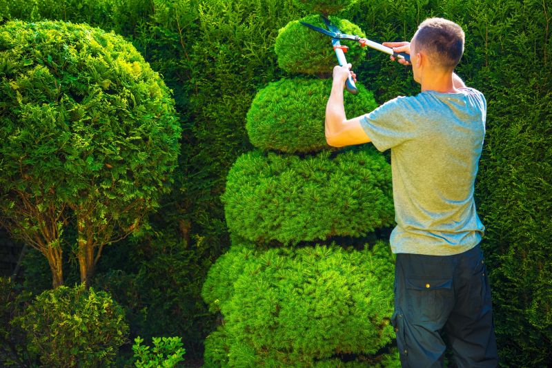 Healthy Shrub Trimming